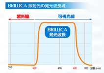 �z���C�g�j���O